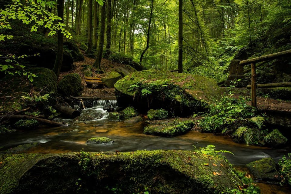 waterfalls in forest