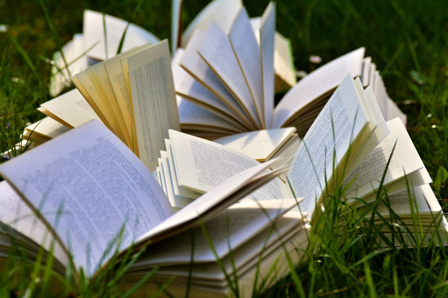 book pages books close up grass